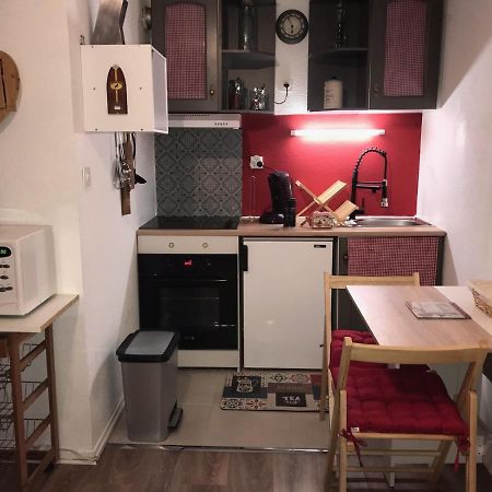 Studio Saint Lary Au Pla D'Adet 외부 사진